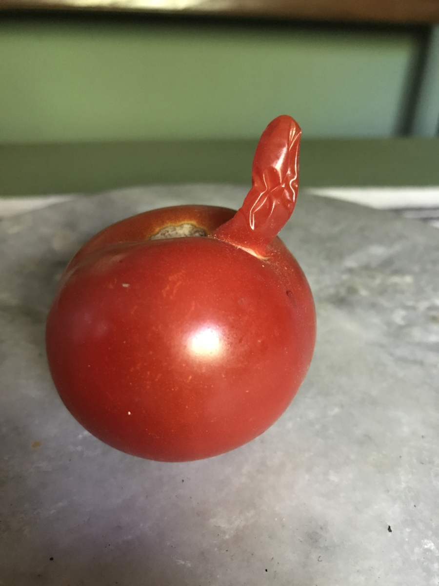 Tomat – toe!